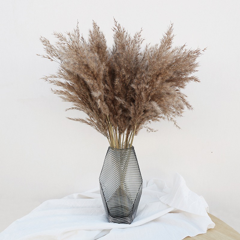 Florist Supply Vases - Lot de 10 roseaux naturels colorés