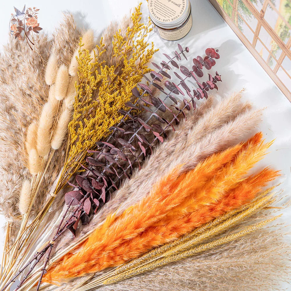 60 pièces, bouquet de fleurs s - Eucalyptus Preserved avis et prix